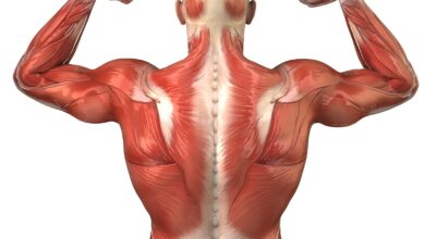 ضمور العضلات